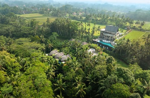 Property building, Day, Natural landscape, Bird's eye view, Pool view, Swimming pool