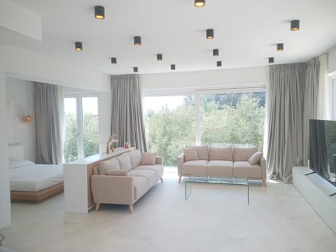 Internal: Not applicable to any particular room