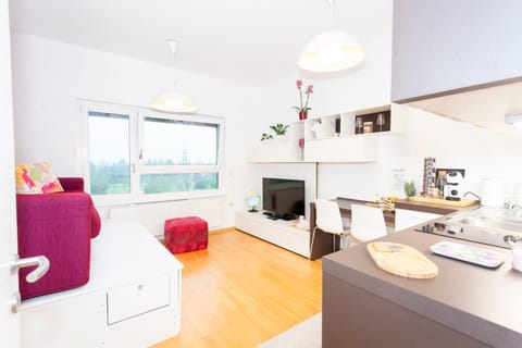 TV and multimedia, Kitchen or kitchenette, Living room, Seating area, Dining area, minibar