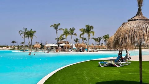 Beach, Swimming pool, Swimming pool