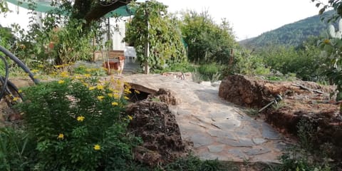 Natural landscape, Garden, Garden view, Mountain view
