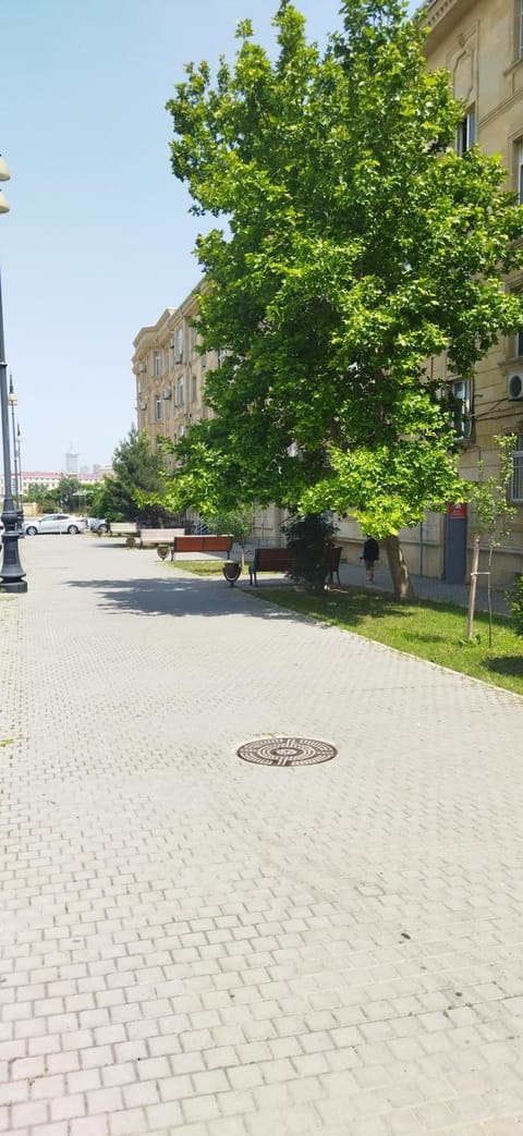 Property building, Day, Neighbourhood, Street view, Parking