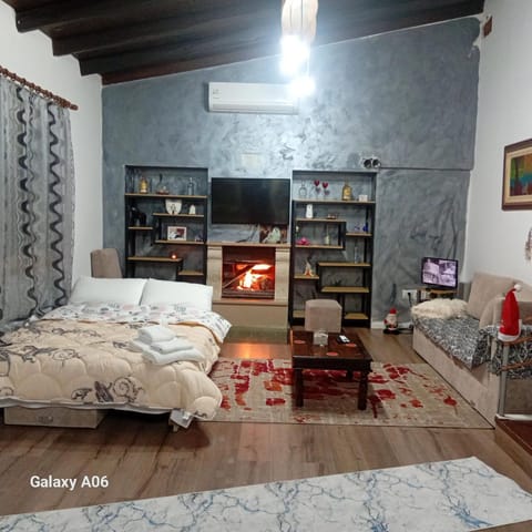 Bed, Library, TV and multimedia, Living room, Photo of the whole room, Decorative detail, Decorative detail, Seating area, Bedroom, fireplace, air conditioner