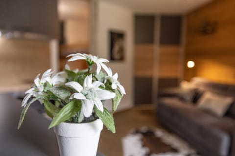 Studio haut de gamme Contamines Apartment in Les Contamines-Montjoie