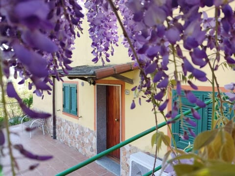 Property building, Garden view
