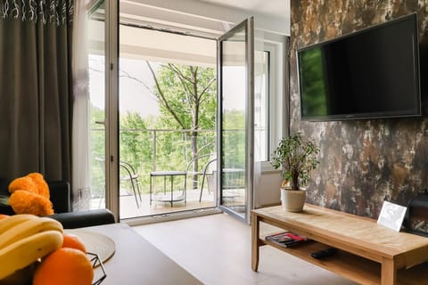 Communal lounge/ TV room, TV and multimedia, Living room, Seating area