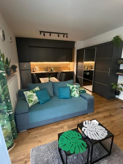 Kitchen or kitchenette, Living room, wardrobe