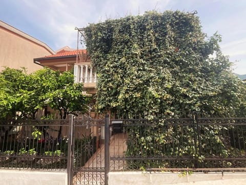 Property building, Garden, Garden view