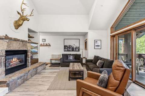 Day, Living room, Seating area, fireplace, furniture