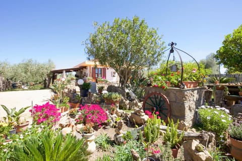 Villa Pedra Moro Villa in Sardinia