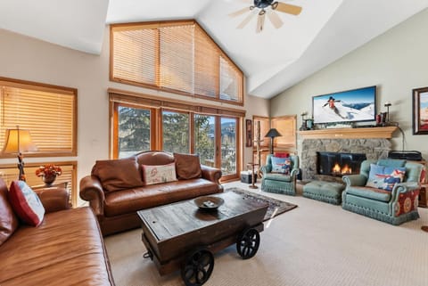 Day, Natural landscape, TV and multimedia, Living room, Seating area, fireplace, furniture