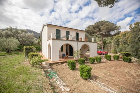 Property building, Garden view