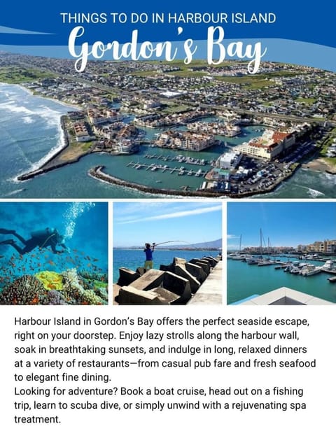 Matt's Place Apartment in Cape Town