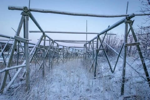 Modern Fisherman Cabin Cabin in Lofoten