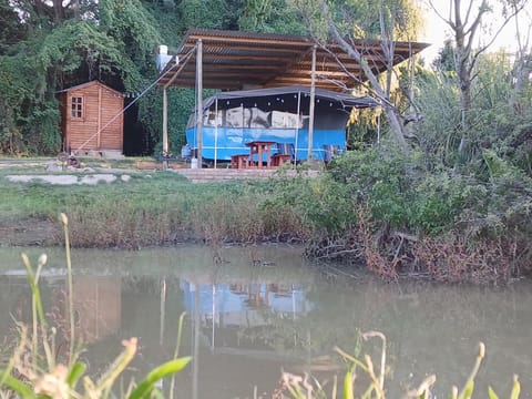 Property building, Restaurant/places to eat, Day, Natural landscape, Swimming pool