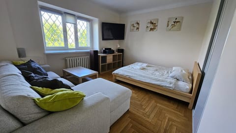 Bed, TV and multimedia, Living room, Photo of the whole room, Seating area, Bedroom, towels