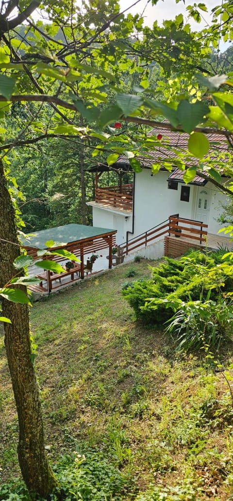 Property building, Natural landscape, Garden, Garden view