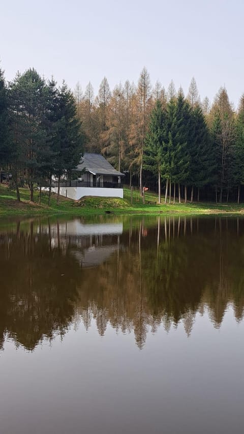 Oaza Las Zagozd 2 House in West Pomeranian Voivodeship, Poland