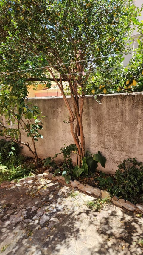 Villa COMPLETA x 9 PS Villa in Villasimius