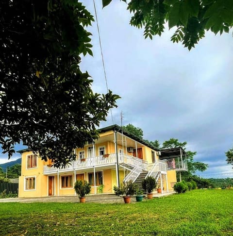 Property building, Natural landscape, Garden, Garden view
