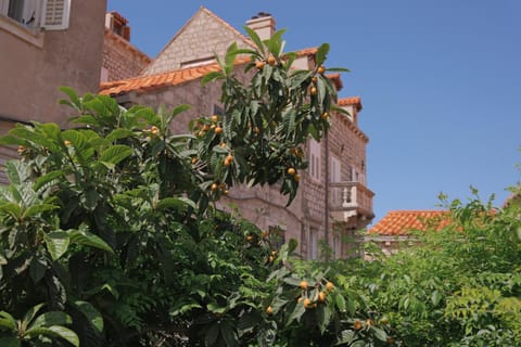 Garden, Balcony/Terrace, Garden view
