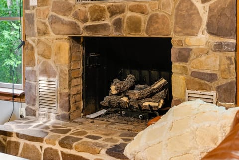 Highland Cabin 4BD/2BR near Harrisonburg VA Cabin in Rawley Springs