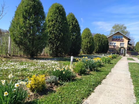 Property building, Spring, Day, Garden, Garden view
