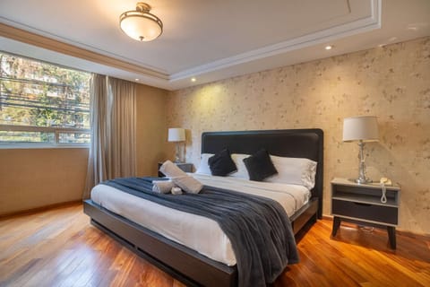 Spacious Polanco Home with Patio Ideal for Groups House in Mexico City