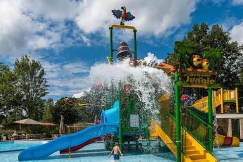 Aqua park, Aqua park, Swimming pool, Swimming pool
