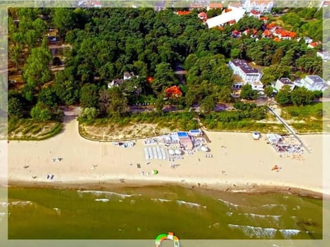 Bird's eye view, Beach, Location