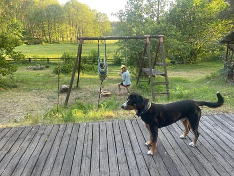 Dom w lesie nad jeziorem Kaszuby - Gniazdo House in Pomeranian Voivodeship
