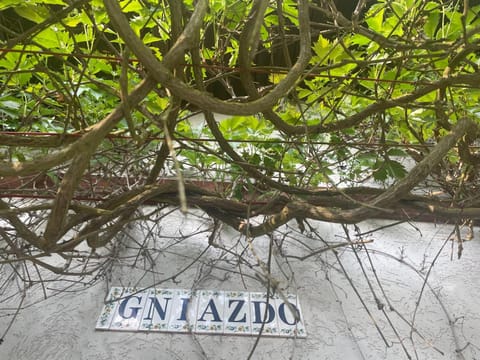 Dom w lesie nad jeziorem Kaszuby - Gniazdo House in Pomeranian Voivodeship