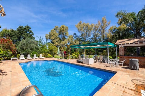 Garden, Pool view, Swimming pool, sunbed
