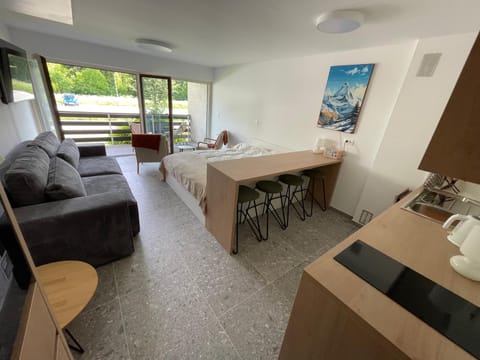 Apartma Adrian Apartment in Friuli-Venezia Giulia