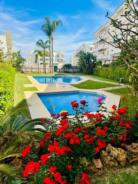 Garden view, Swimming pool