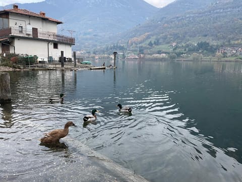 LakEden Apartment in Province of Brescia