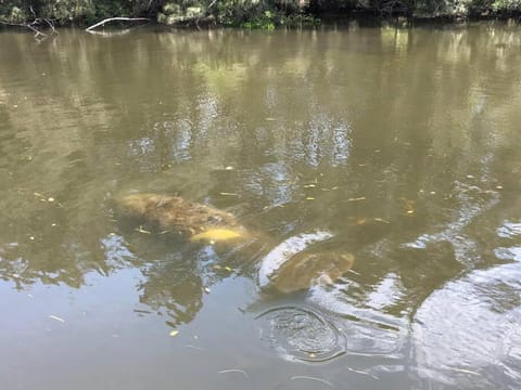 Natural landscape, Lake view, River view