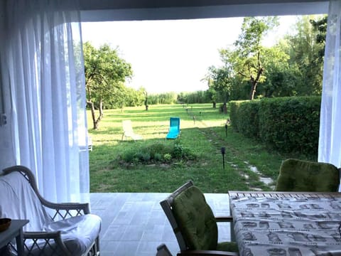 Balcony/Terrace, Garden view