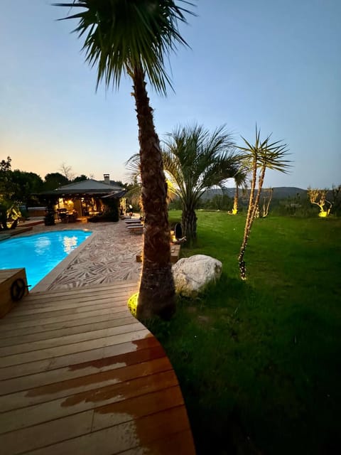 Natural landscape, Garden, Pool view, Swimming pool, sunbed