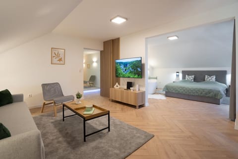 Bed, TV and multimedia, Living room, Photo of the whole room, Seating area, Bedroom