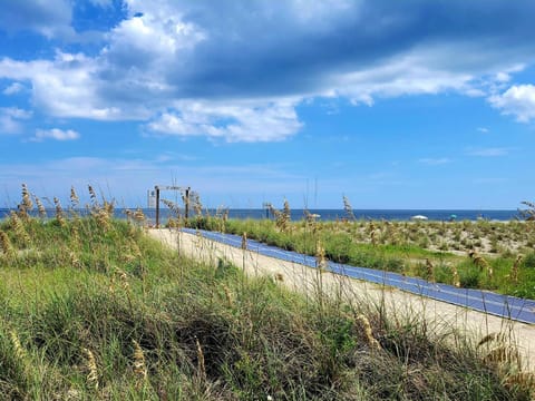 Natural landscape, Beach