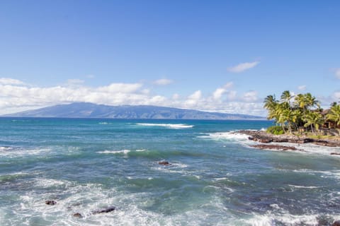 Ground Floor, Seconds to Beach! Ks b1b - Sullivan House in Kapalua