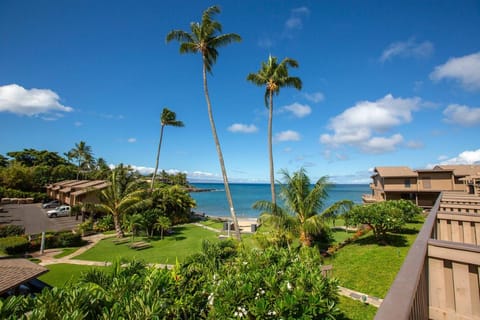 Ocean views & turtle watching - Ks b3 Sullivan House in Kapalua