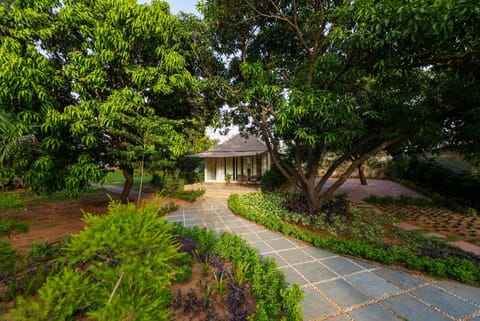 Property building, Day, Garden