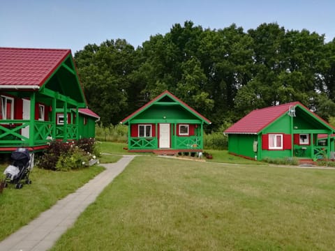 Property building, Spring, Day, Garden