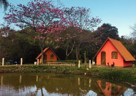 Property building, Spring, Natural landscape, Garden, Garden view, Lake view, Lake view, River view, Quiet street view