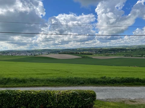 Natural landscape