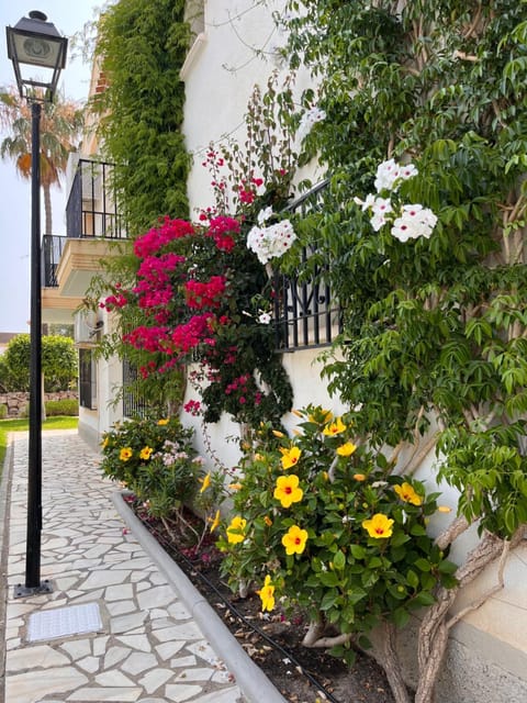 Garden, Garden, Garden view