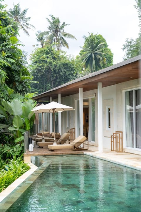Property building, Garden, Swimming pool, sunbed