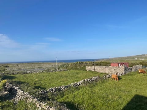 Two Bedroom Deluxe Sea View Guest Suite Apartment in County Clare